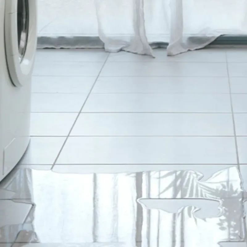 Appliance Leak Cleanup in Galesburg, IL