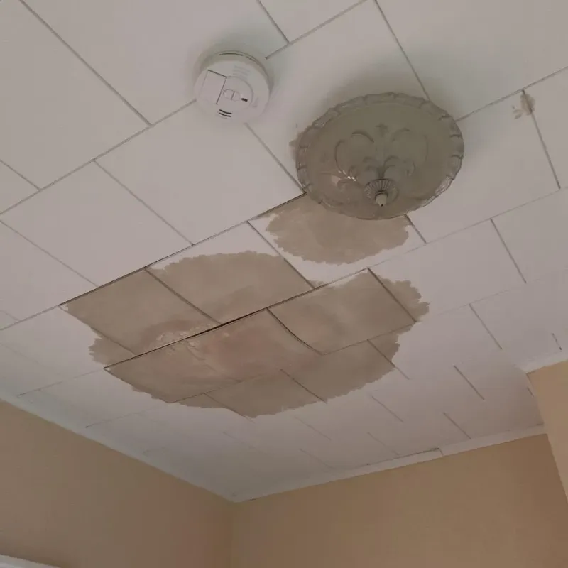 Ceiling Water Damage Repair in Galesburg, IL