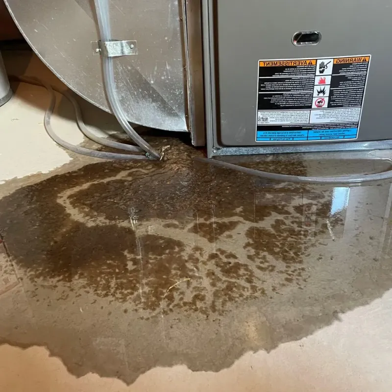 Pipe Burst and Leak Restoration in Galesburg, IL