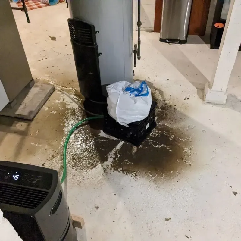 Sewage Backup Cleanup Service in Galesburg, IL